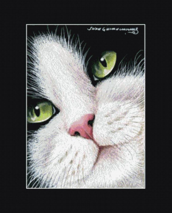 мордашка - портрет, кот, котики, коты - предпросмотр