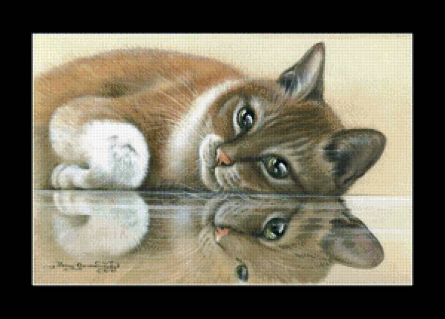 лапушка - кот, котики, коты - предпросмотр