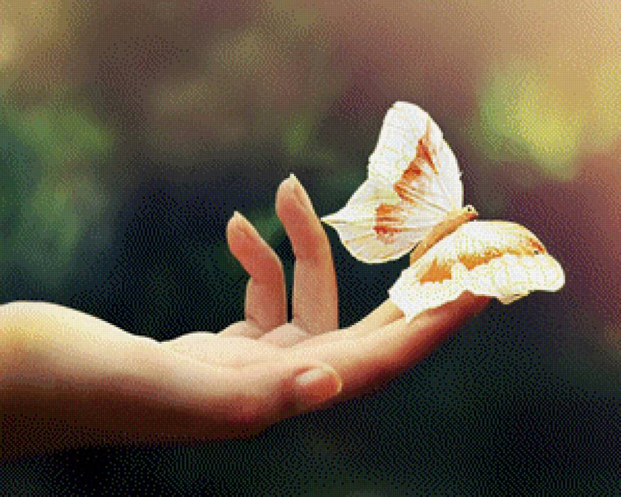 рука - предпросмотр