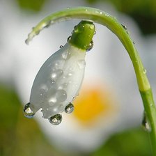 Схема вышивки «Цветок»