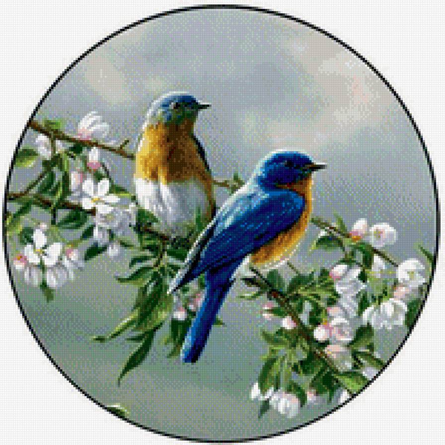 Пташки на ветке - птицы, пара - предпросмотр