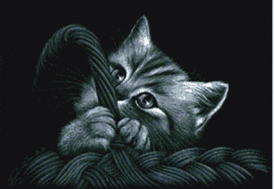 Котенок в Корзине - монохромные, котенок - предпросмотр