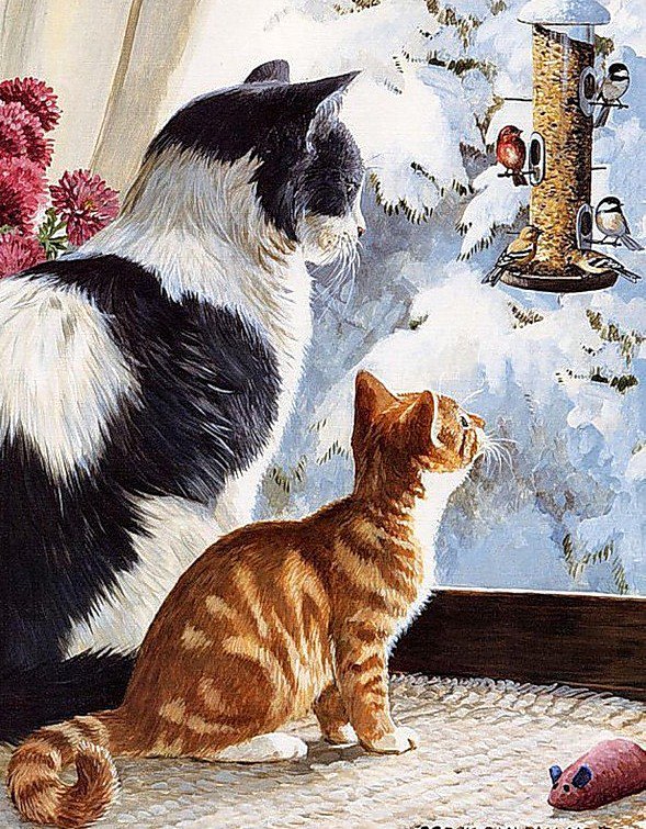 котики - оригинал