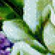 Предпросмотр схемы вышивки «серия "натюрморт"» (№830701)