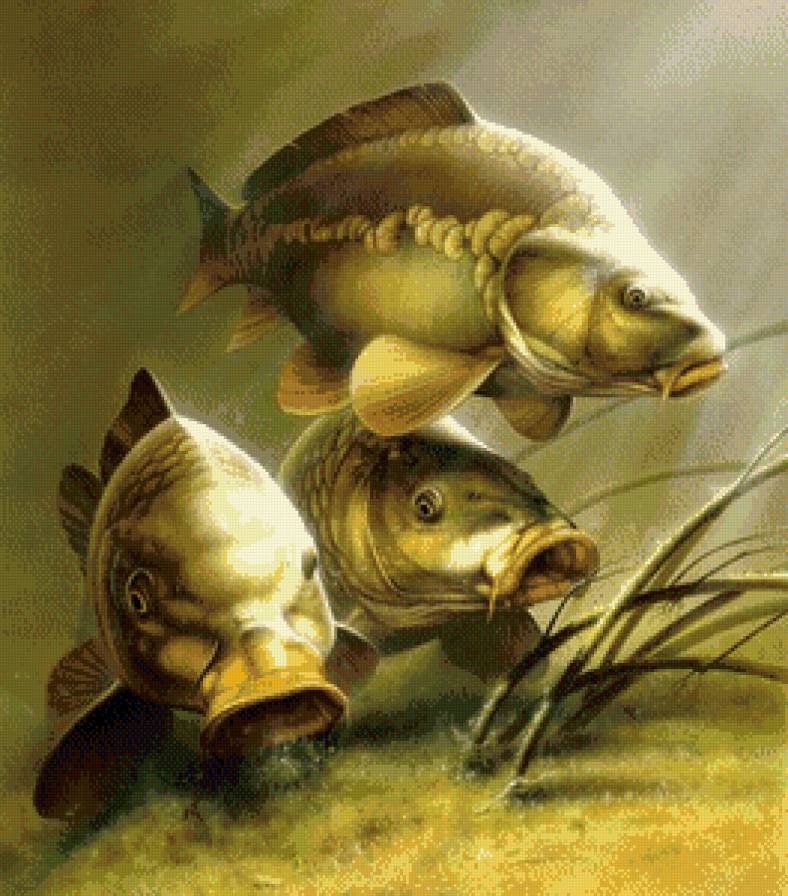 №830784 - предпросмотр