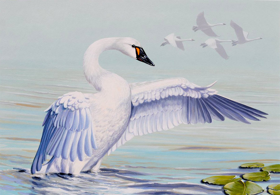 №830818 - оригинал