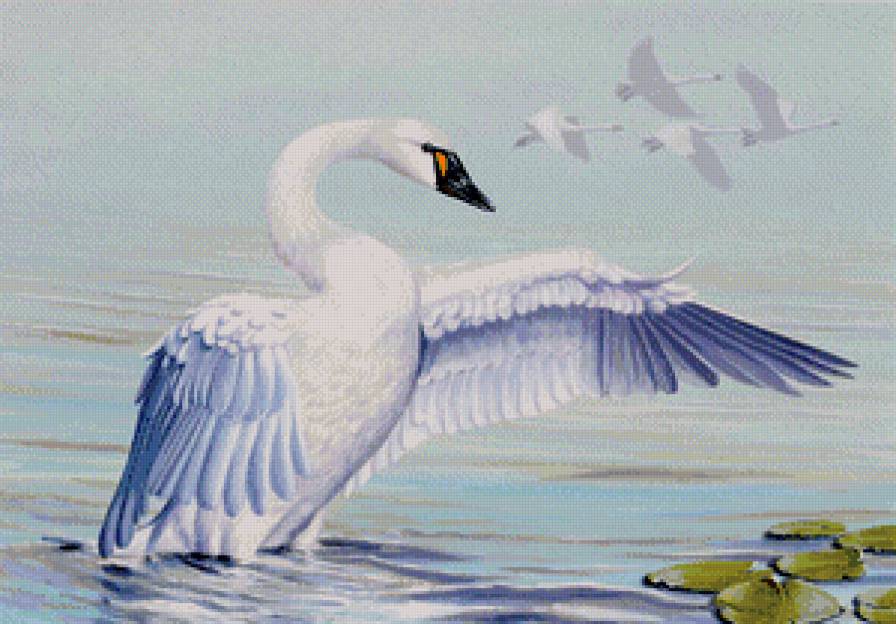 №830818 - предпросмотр