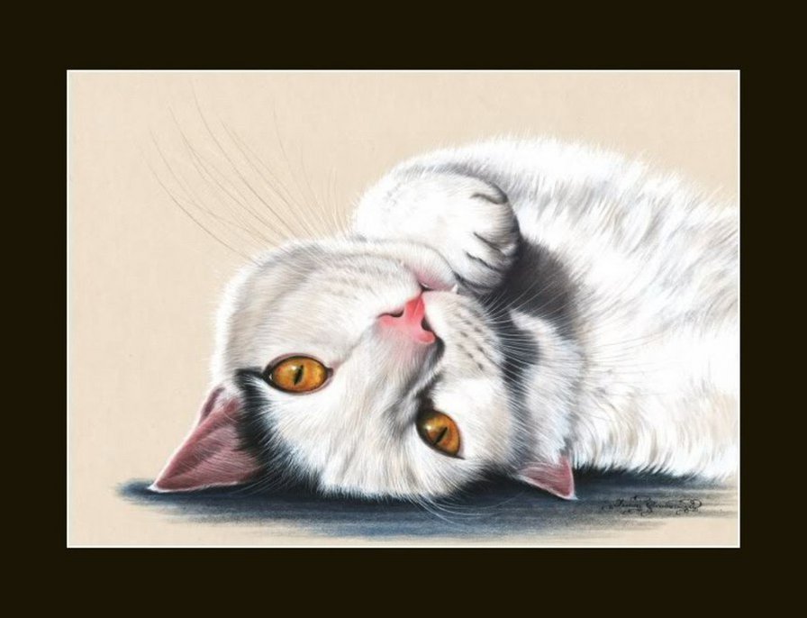 кайфушки - котики, кот, коты - оригинал