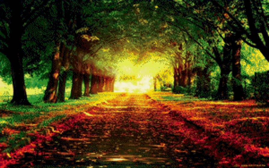 осенний парк - парк, деревья, природа, осень, листва - предпросмотр