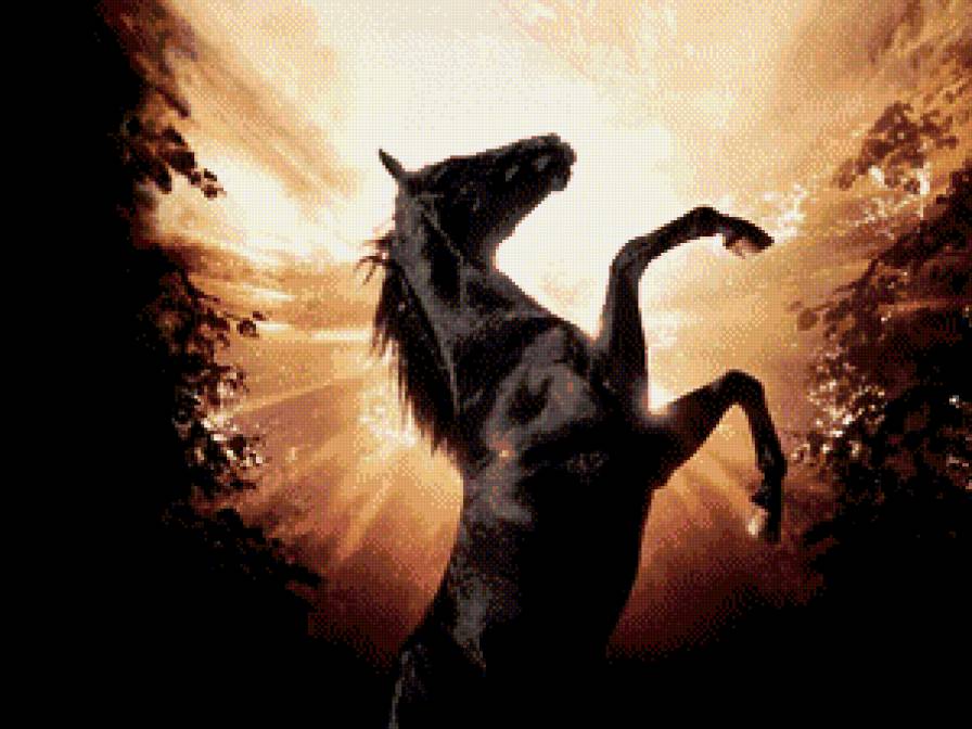 ветер в гриве - конь, животные, лошадь - предпросмотр