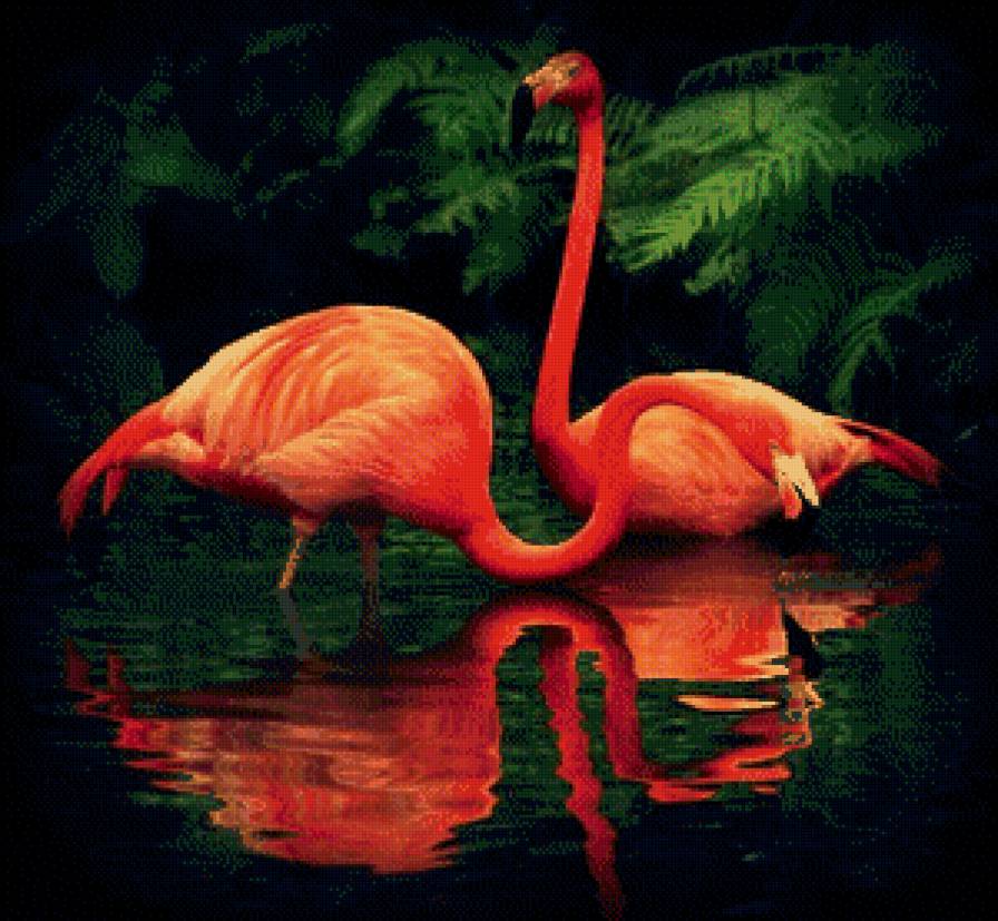 фламинго - природа, птицы, деревья, пруд, животные - предпросмотр