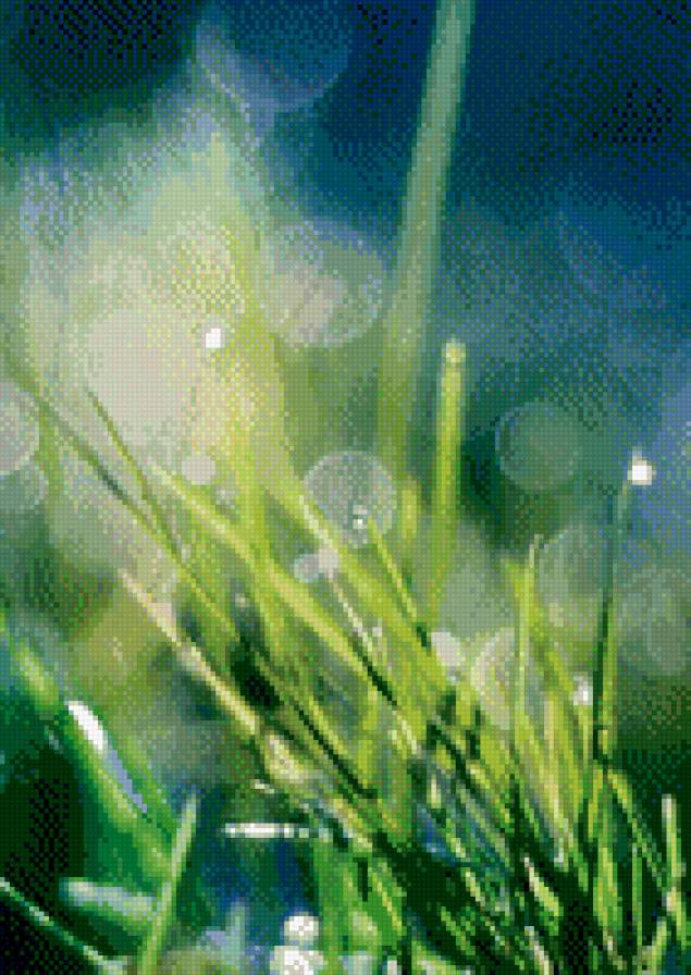 трава - трава, природа - предпросмотр