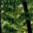 Предпросмотр схемы вышивки «в лесу» (№831059)