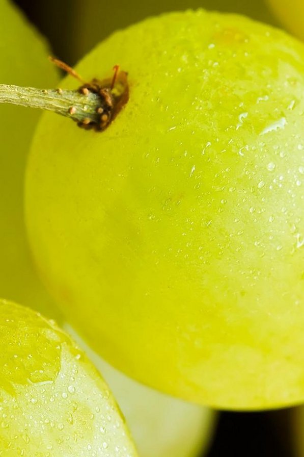 виноград - ягоды, на кухню, фрукты - оригинал