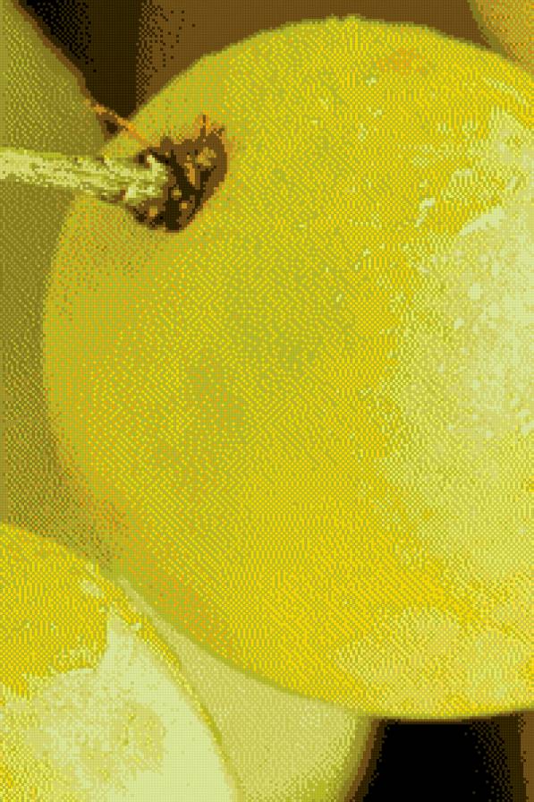 виноград - фрукты, ягоды, на кухню - предпросмотр