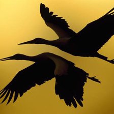 Схема вышивки «№831275»