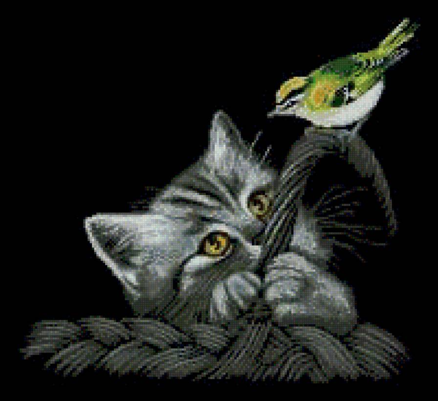 Котенок в корзинке - птички, кошки, корзинка, животные - предпросмотр