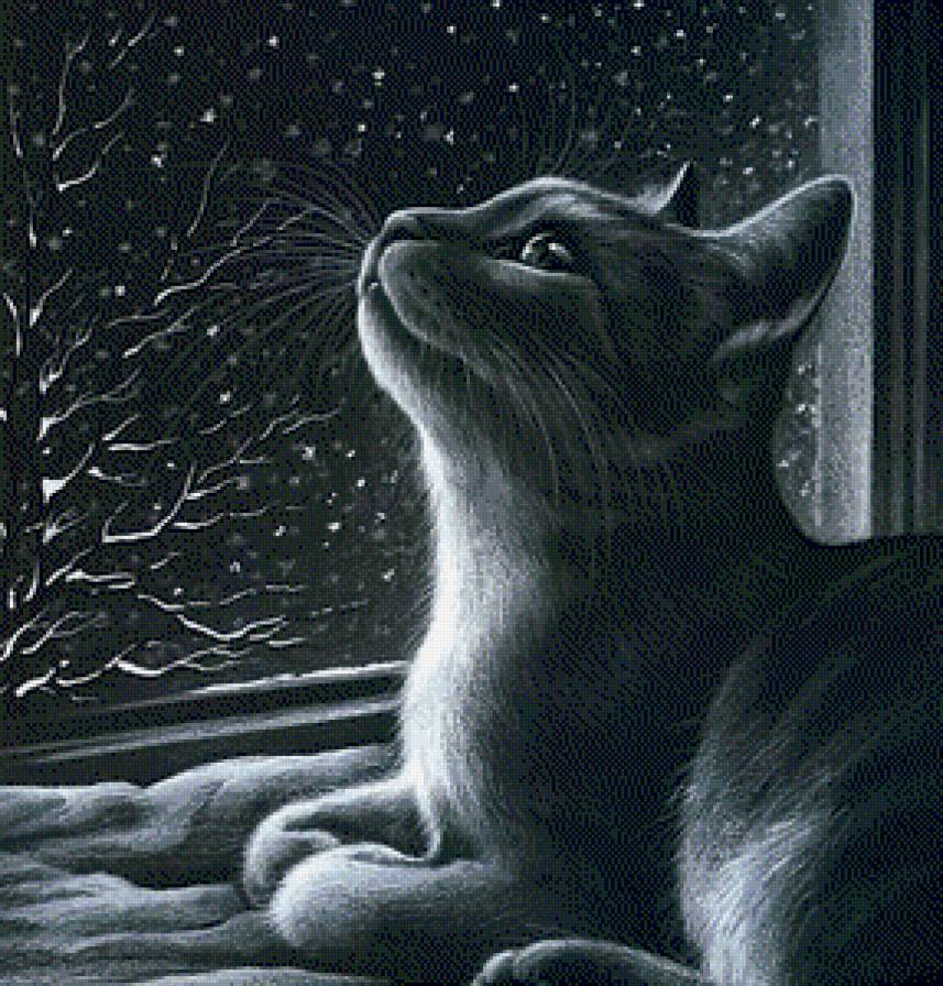 киця - предпросмотр