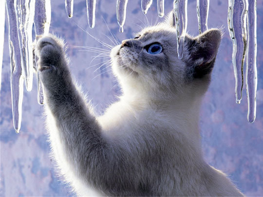 сосулька - оригинал