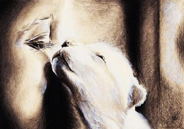 нежность - девушка, животные, котик - оригинал