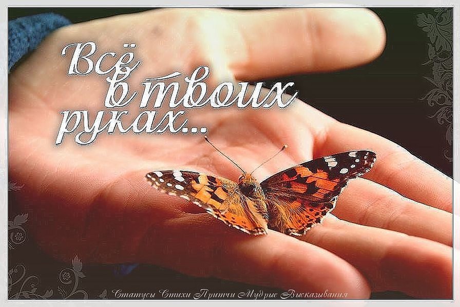 №831929 - оригинал