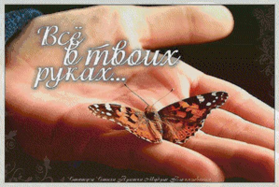 №831929 - предпросмотр