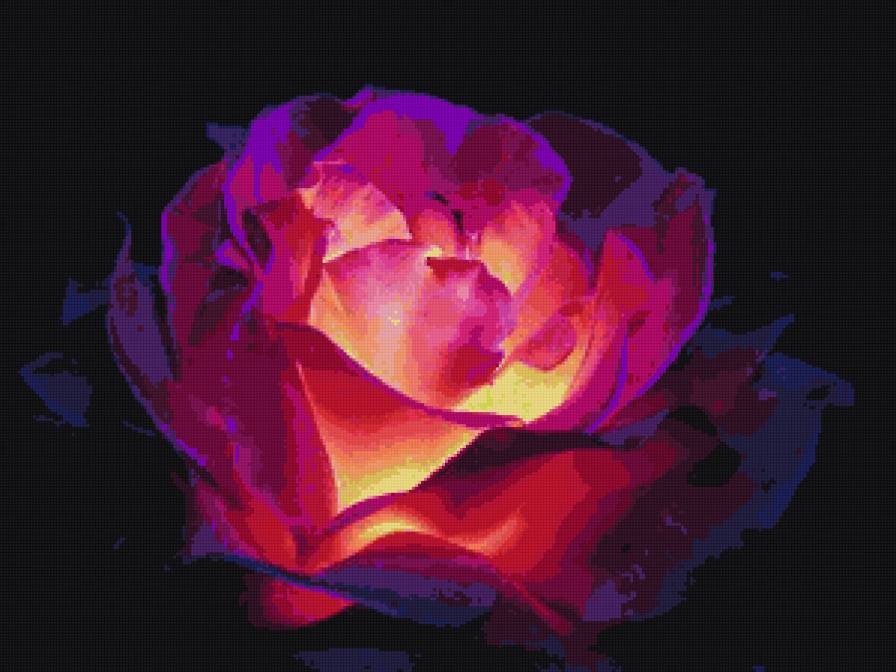 Цветок - цветы - предпросмотр