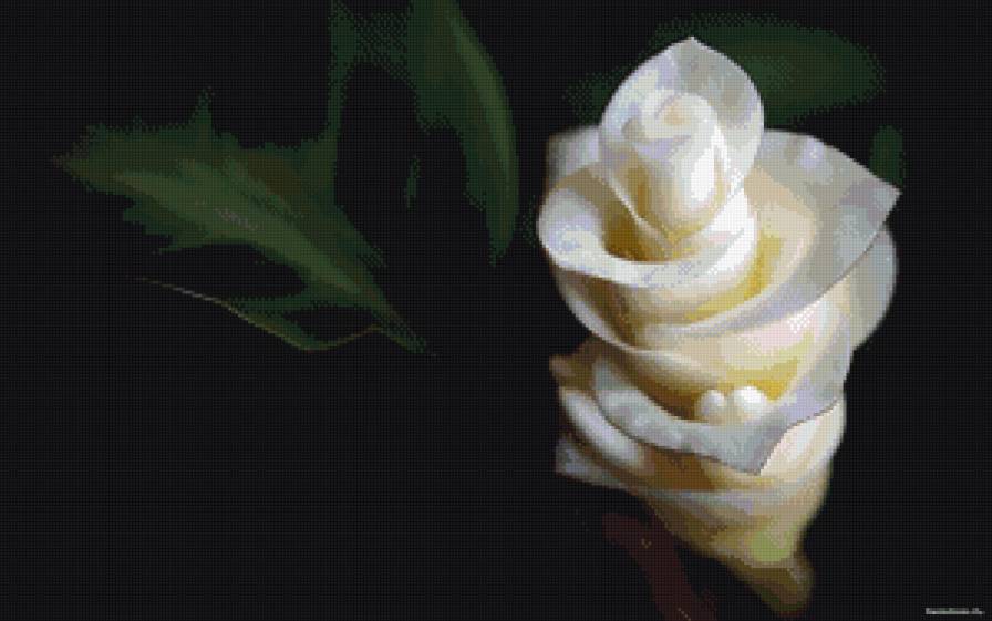 Цветок - цветы - предпросмотр