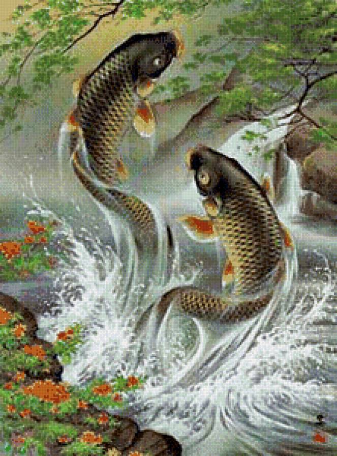 карпы - природа, рыба, пруд - предпросмотр