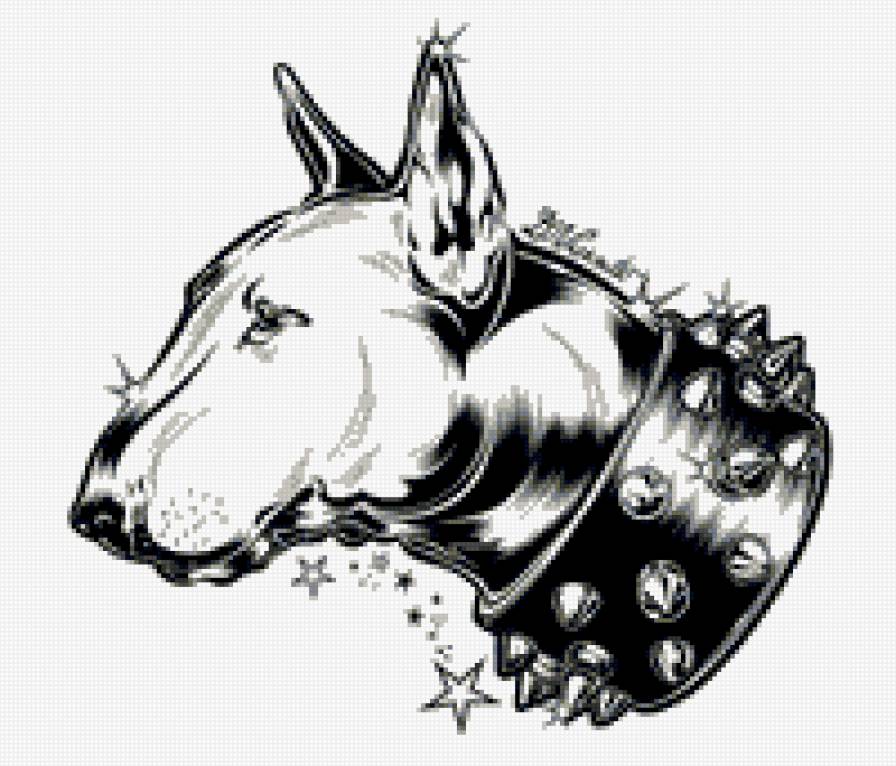 бультерьер - собаки - предпросмотр