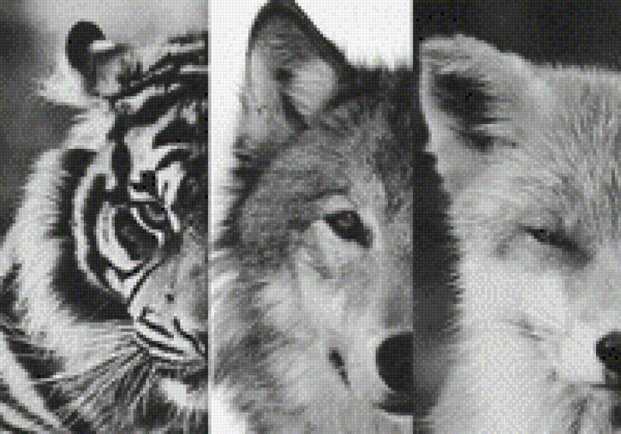 Спокойствие - предпросмотр