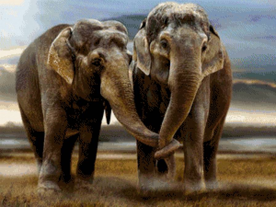 №832689 - предпросмотр