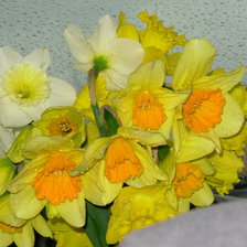 Схема вышивки «нарцисы»