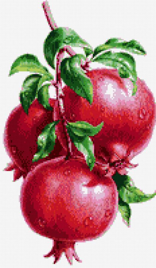 гранат - еда, кухня, гранат - предпросмотр