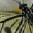 Предпросмотр схемы вышивки «Бабочка» (№833363)