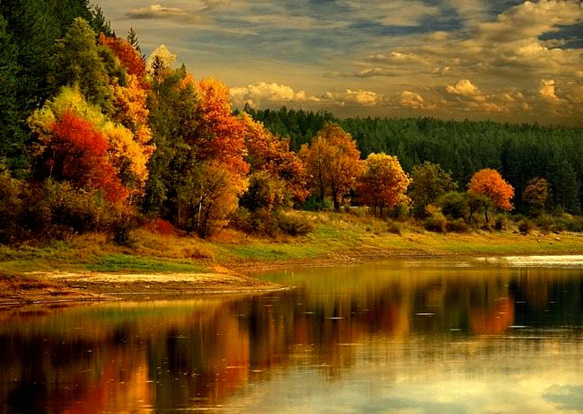 осень - оригинал