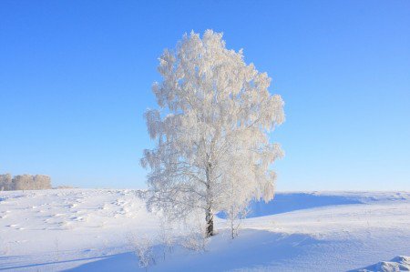 Зима - оригинал