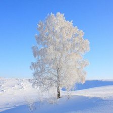 Схема вышивки «Зима»