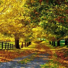 Схема вышивки «осень»