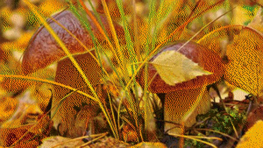 осень - предпросмотр