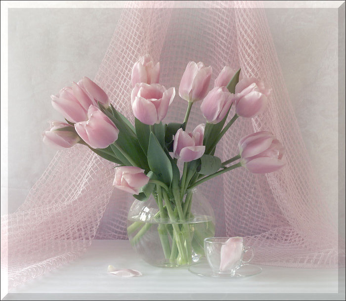 тюльпаны - оригинал