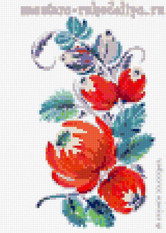 кветки - предпросмотр