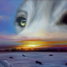 Схема вышивки «глаза1»