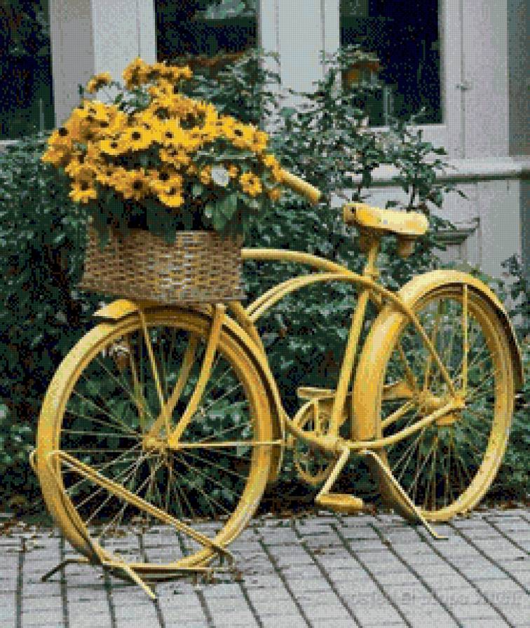 сюжет - предпросмотр