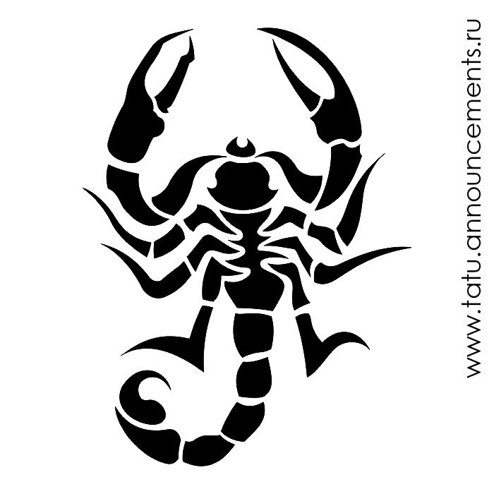 скорпион - черно-белый скорпион - оригинал