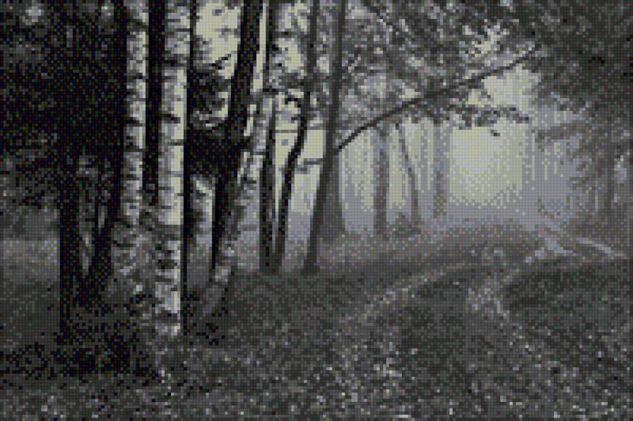 В тумане - монохром, черно-белое, пейзаж - предпросмотр