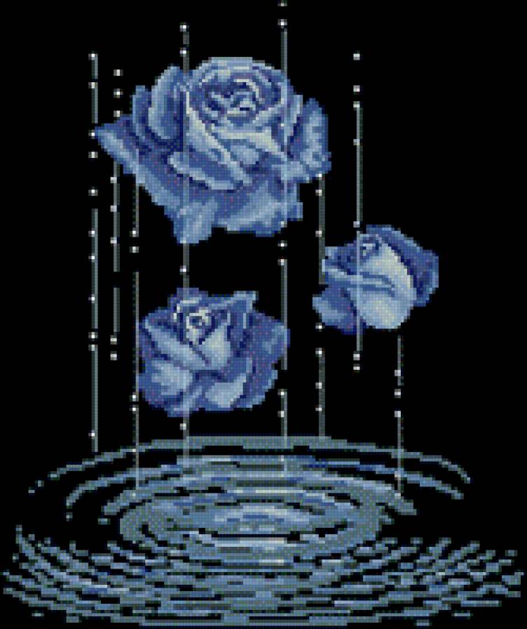 голубые розы - розы, цветы, вода - предпросмотр