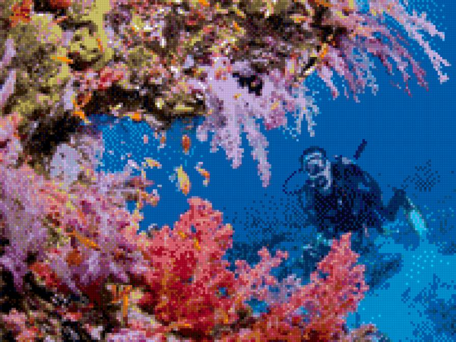 морское царство - море животние люди - предпросмотр