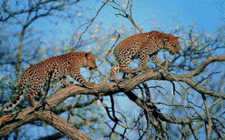 ближе к небу - животние - предпросмотр