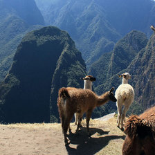 Оригинал схемы вышивки «перу» (№834617)